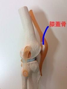 膝関節６
